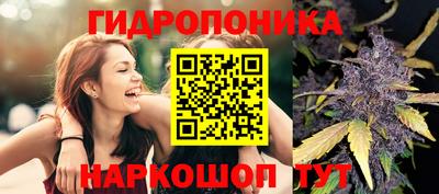 каннабис Кимры