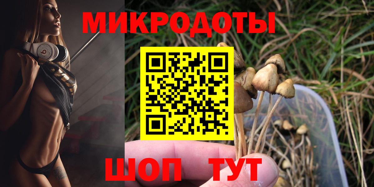 Псилоцибиновые грибы мицелий Котельники